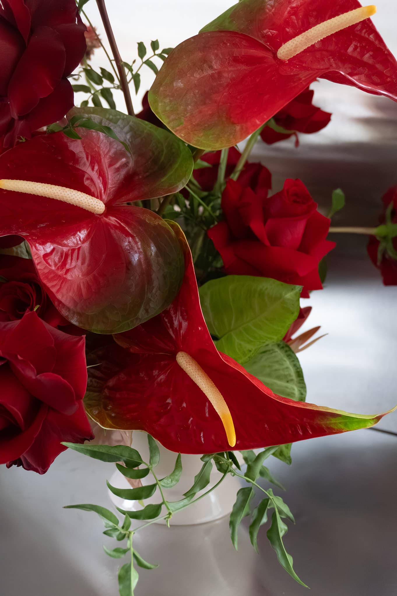 Shaa.Project Velvet Flame featuring rich velvet texture in warm tones, showcasing its luxurious design and vibrant color.