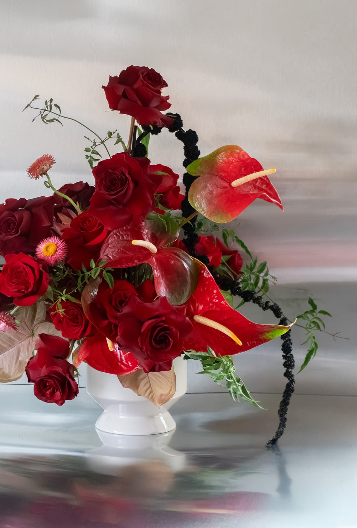 Shaa.Project Velvet Flame featuring rich velvet texture and vibrant flame color in an elegant design.