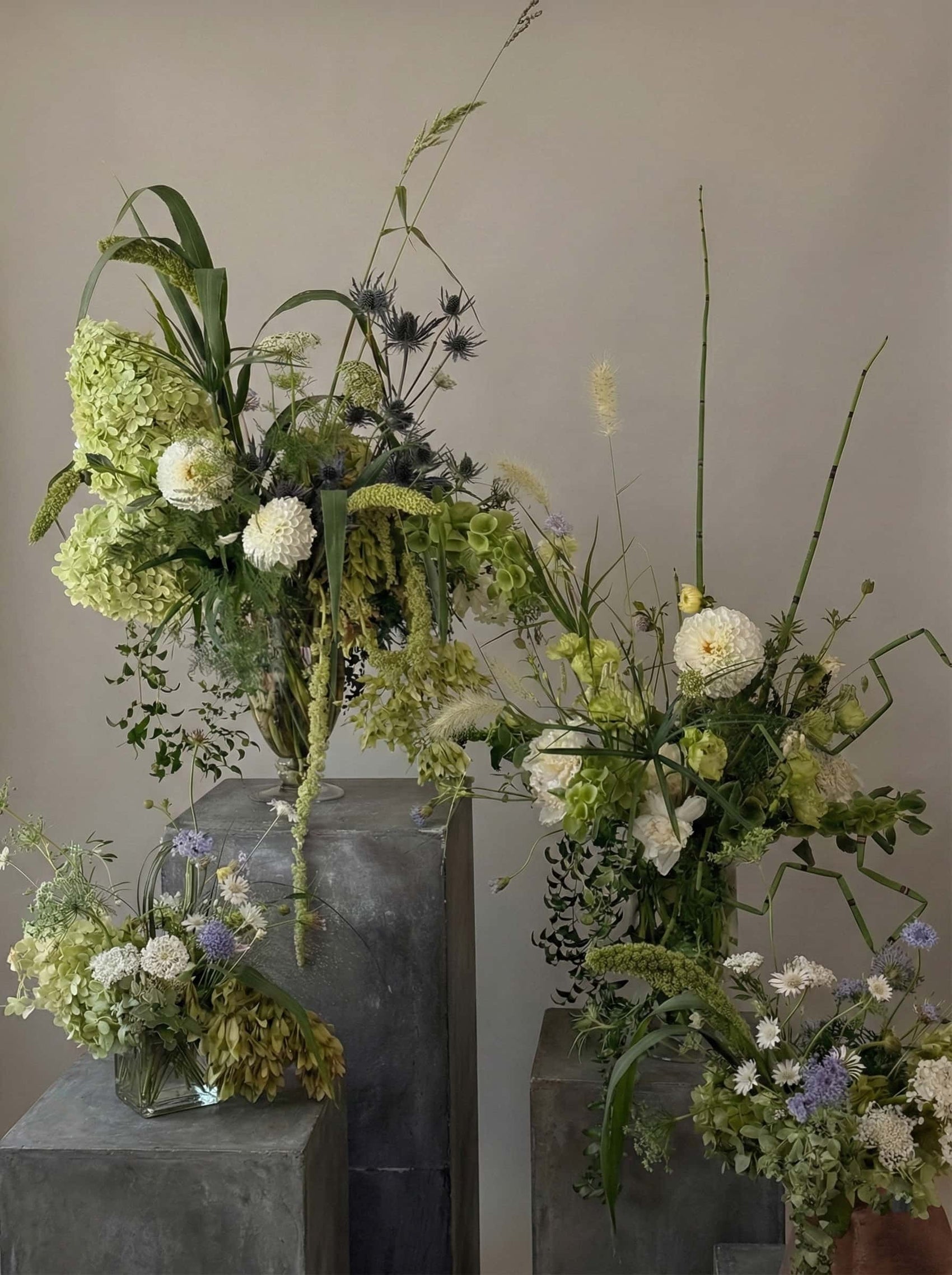 Fresh green grassy bundle from Shaa.Project, showcasing a natural, lush arrangement of grass blades.