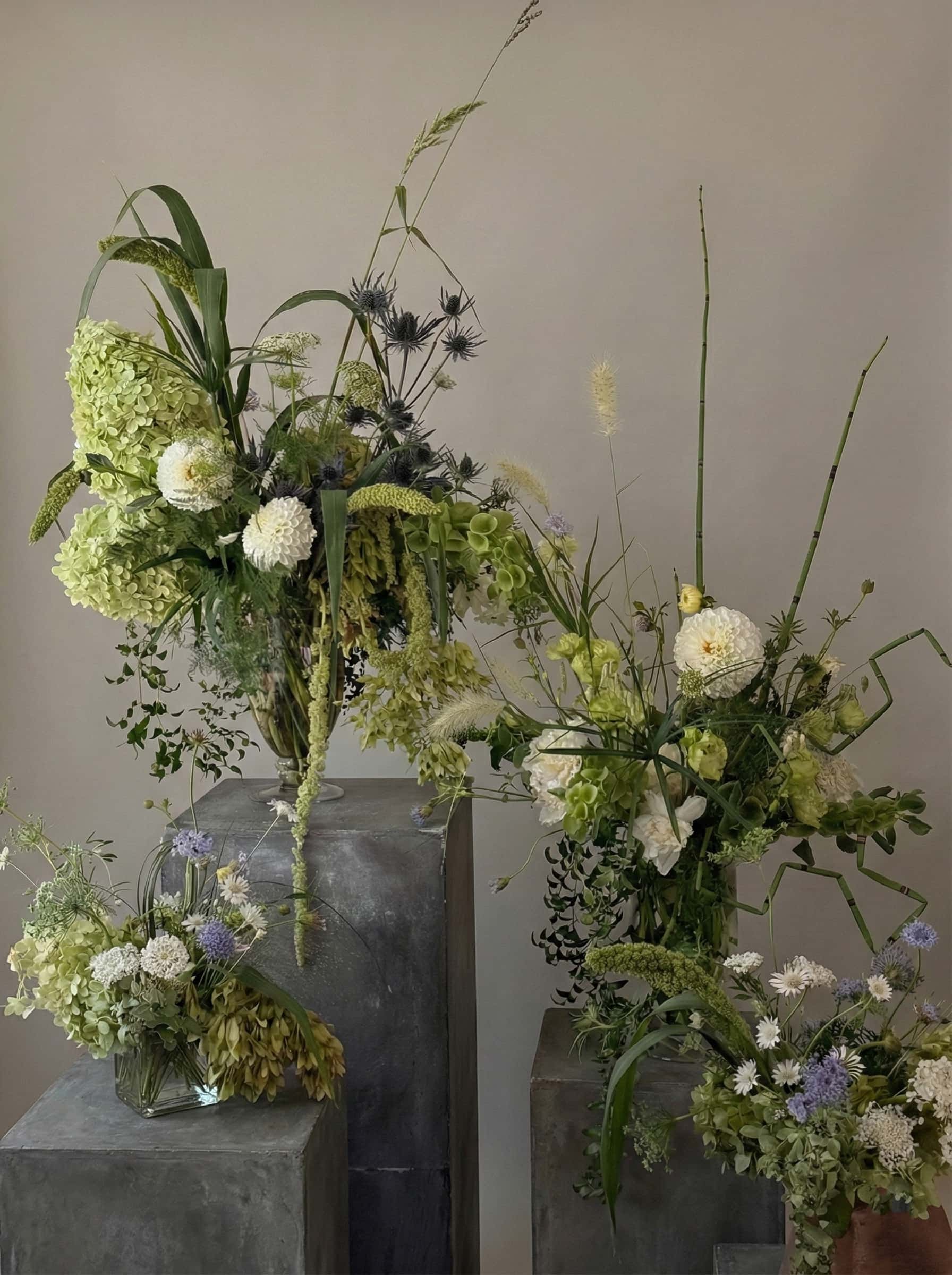 Fresh green grassy bundle from Shaa.Project, showcasing a natural, lush arrangement of grass blades.