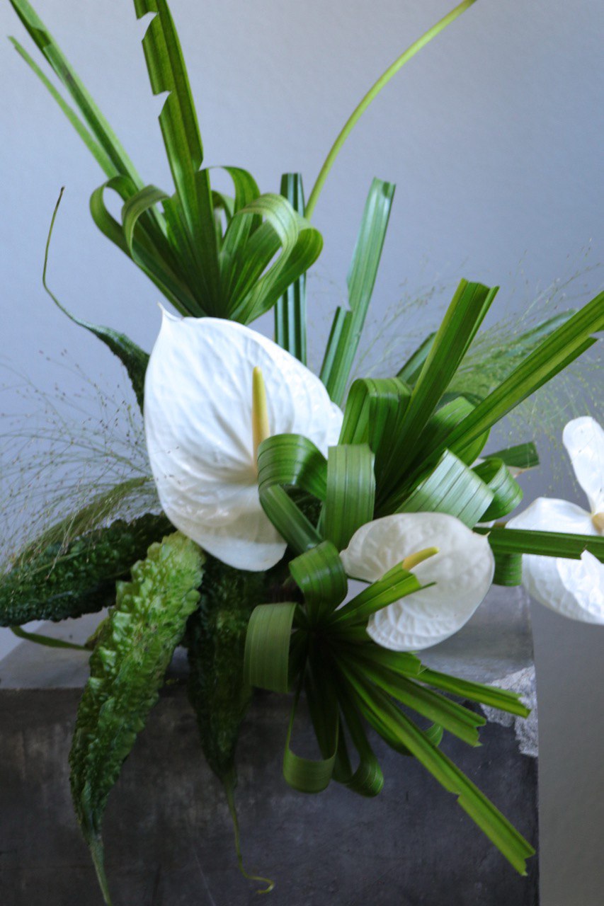 White Vector by Shaa.Project featuring a sleek design and minimalist aesthetics on a neutral background.