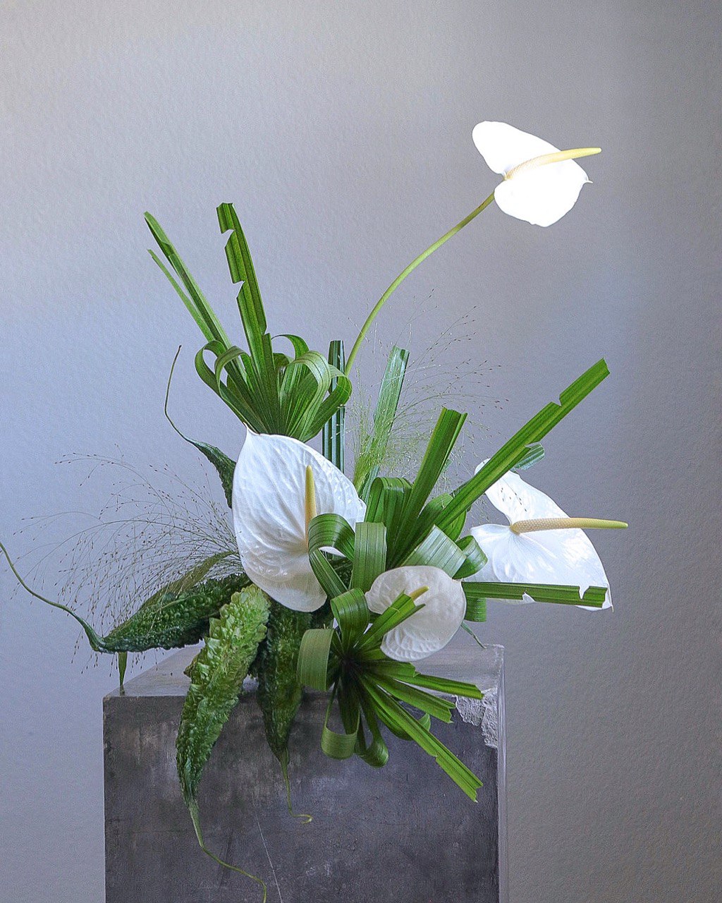 Minimalist white flower design by Shaa.Project, inspired by nature, with delicate petals and a serene aesthetic.