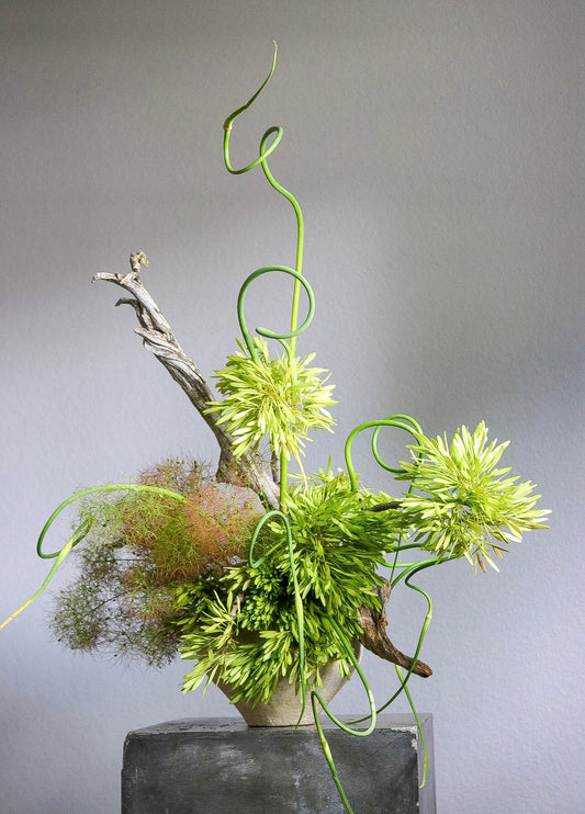 Moss Line floral arrangement with green smoke bush from Shaa.Project floral Styling Subscription
