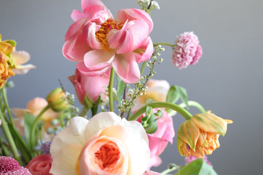 Beautiful Mother's Day bouquet from Shaa.Project, featuring vibrant coral flowers, arranged for same-day delivery in Denver.