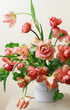 Bouquet of pink and peach fresh tulips in a vase for mother&