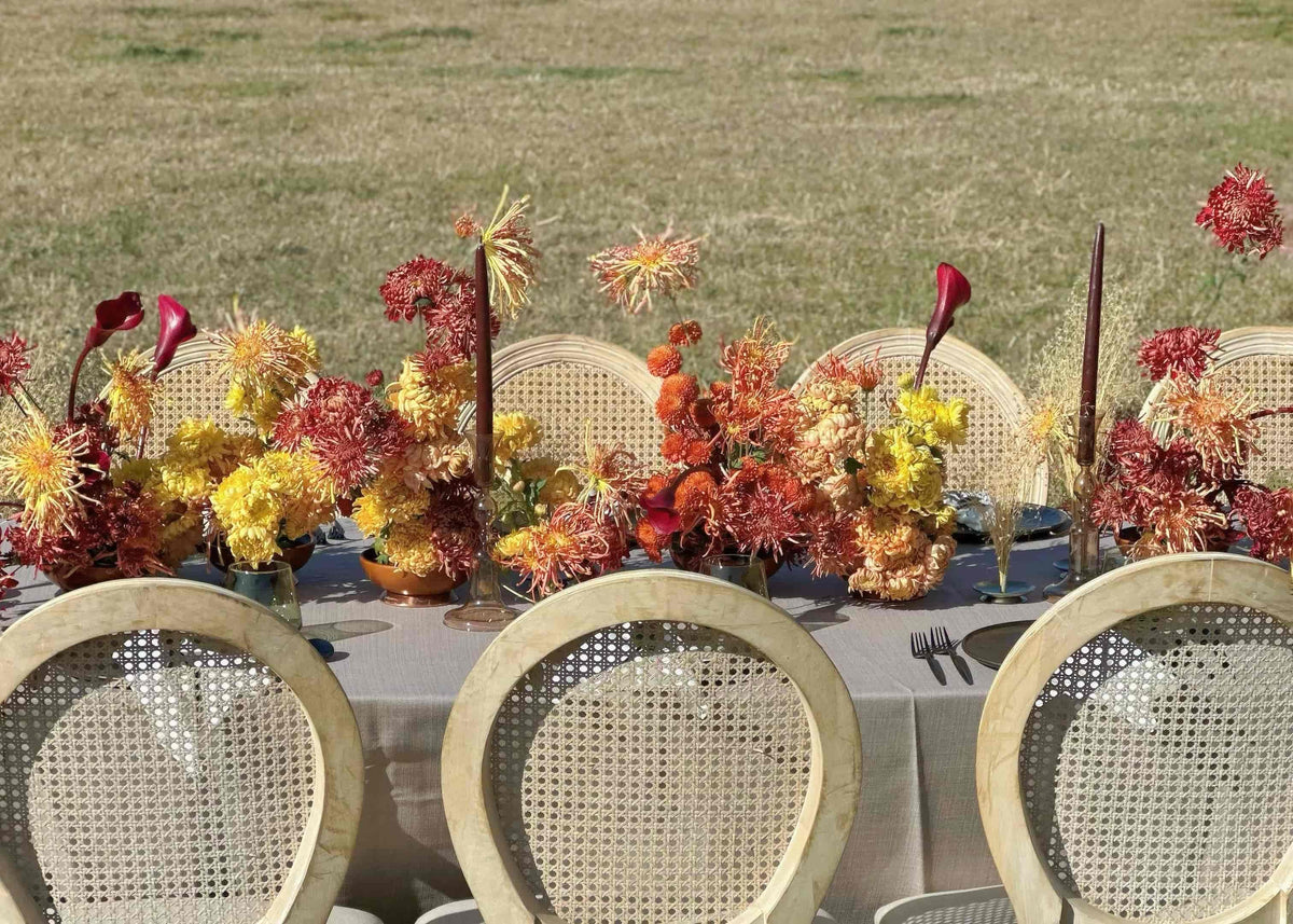 Outdoor setting with a long table set for a meal, featuring floral centerpieces 
