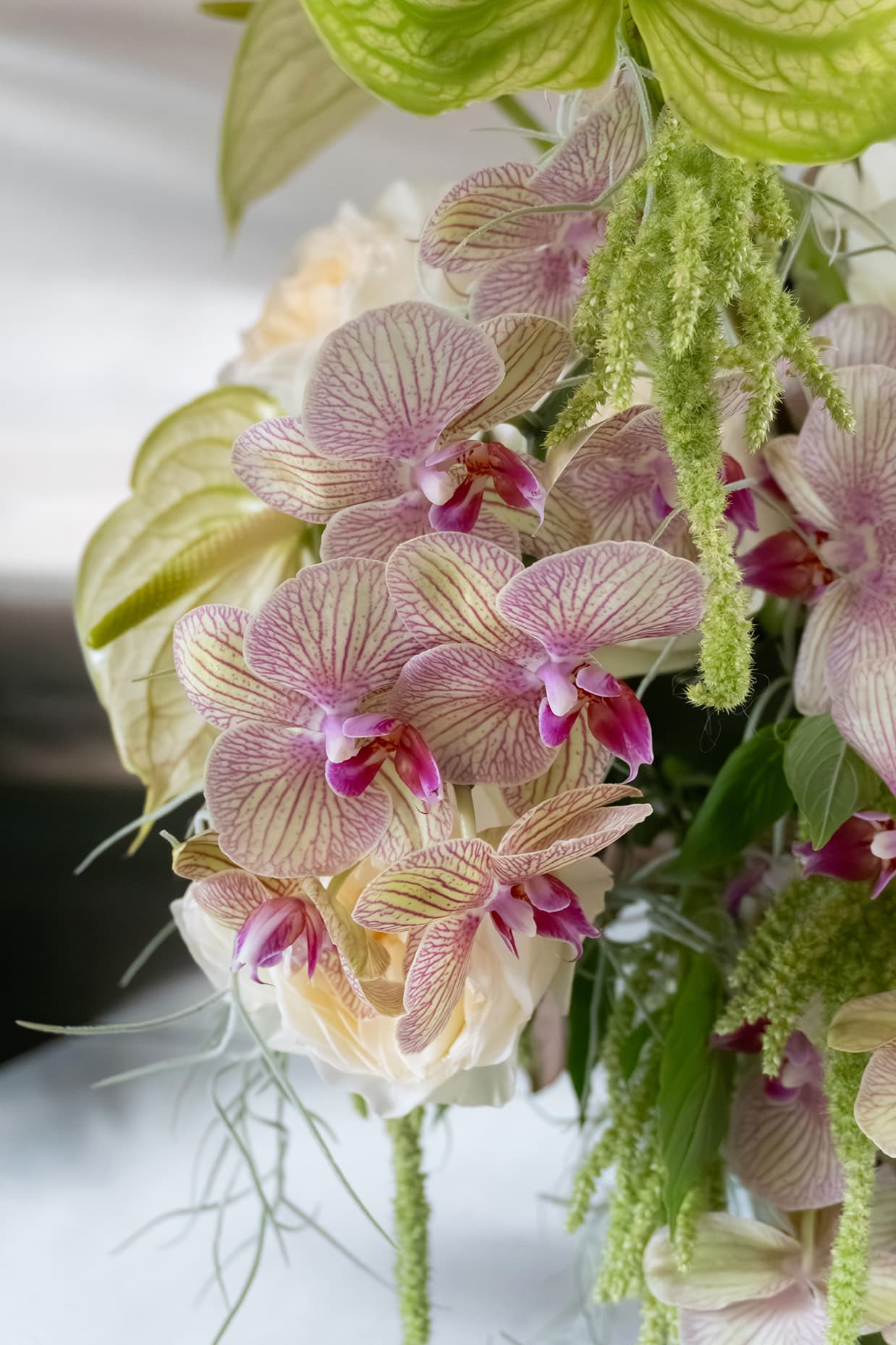 Pink orchid flower arrangement from Shaa.Project, showcasing vibrant petals and delicate details in a serene setting.