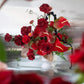 Shaa.Project Velvet Flame in vibrant red, showcasing delicate rose petals against a soft velvet background.