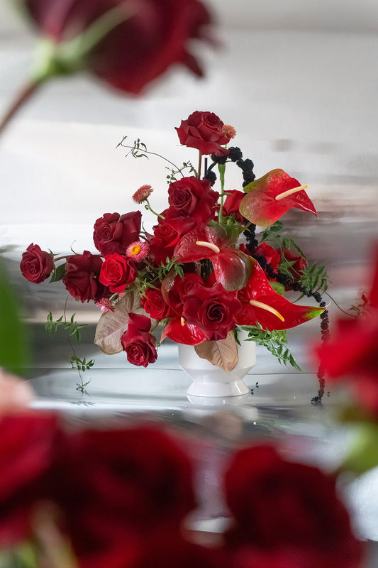 Shaa.Project Velvet Flame in vibrant red, showcasing delicate rose petals against a soft velvet background.