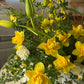 Spring yellow arrangement by Shaa.Project on Mother's Day