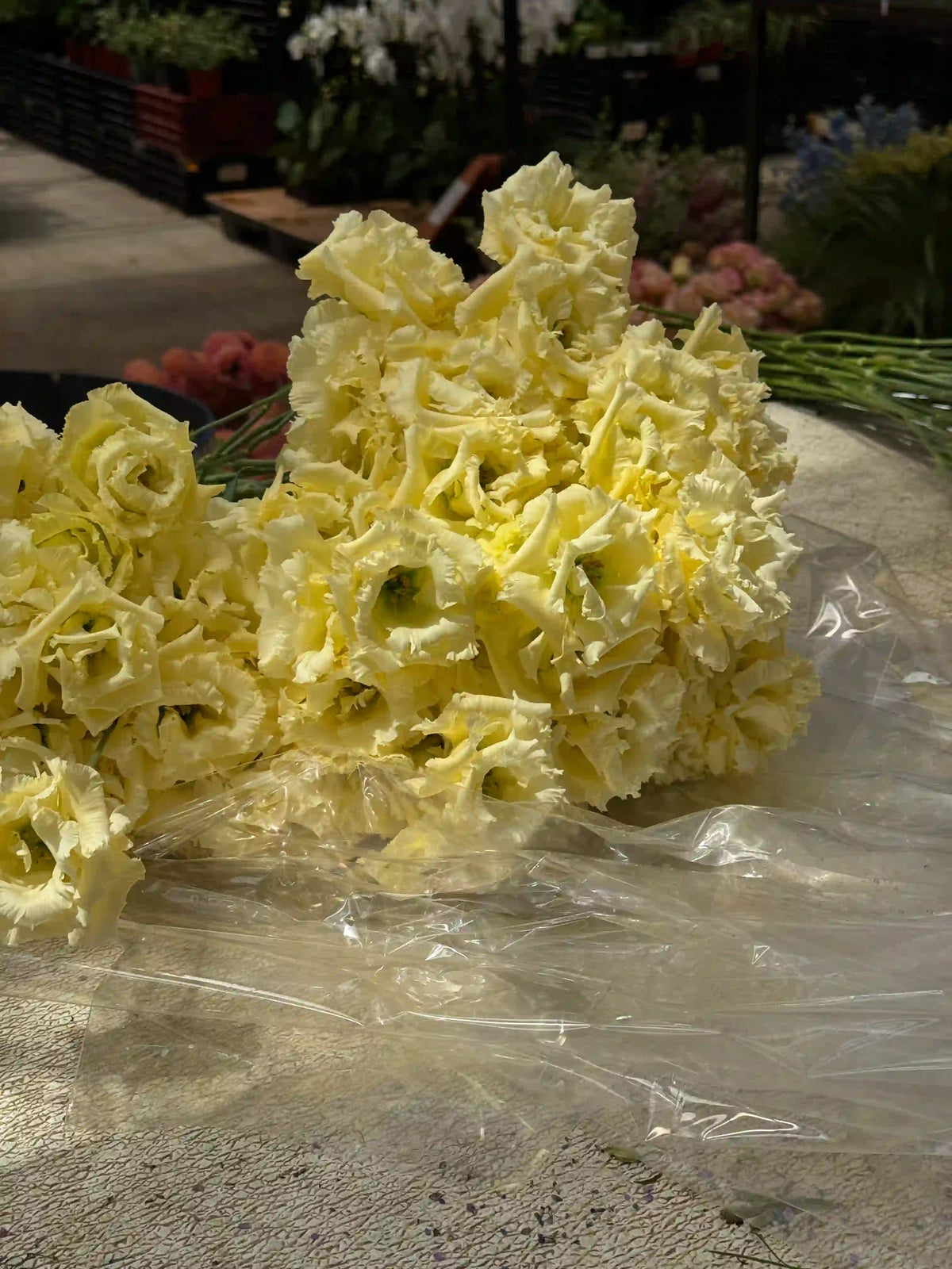 Mono bouquet of yellow lisianthus