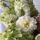 Close-up of a bouquet with white dahlia and green hydrangea on a light background