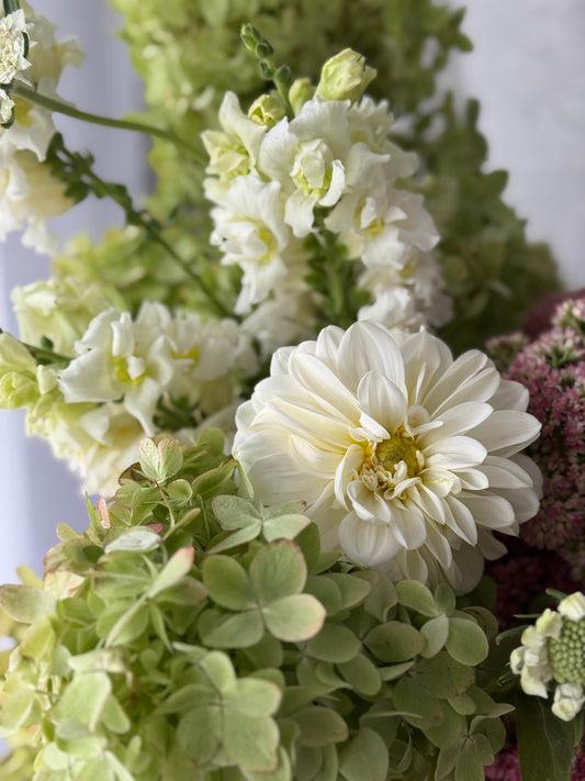 Close-up of a bouquet with white dahlia and green hydrangea on a light background