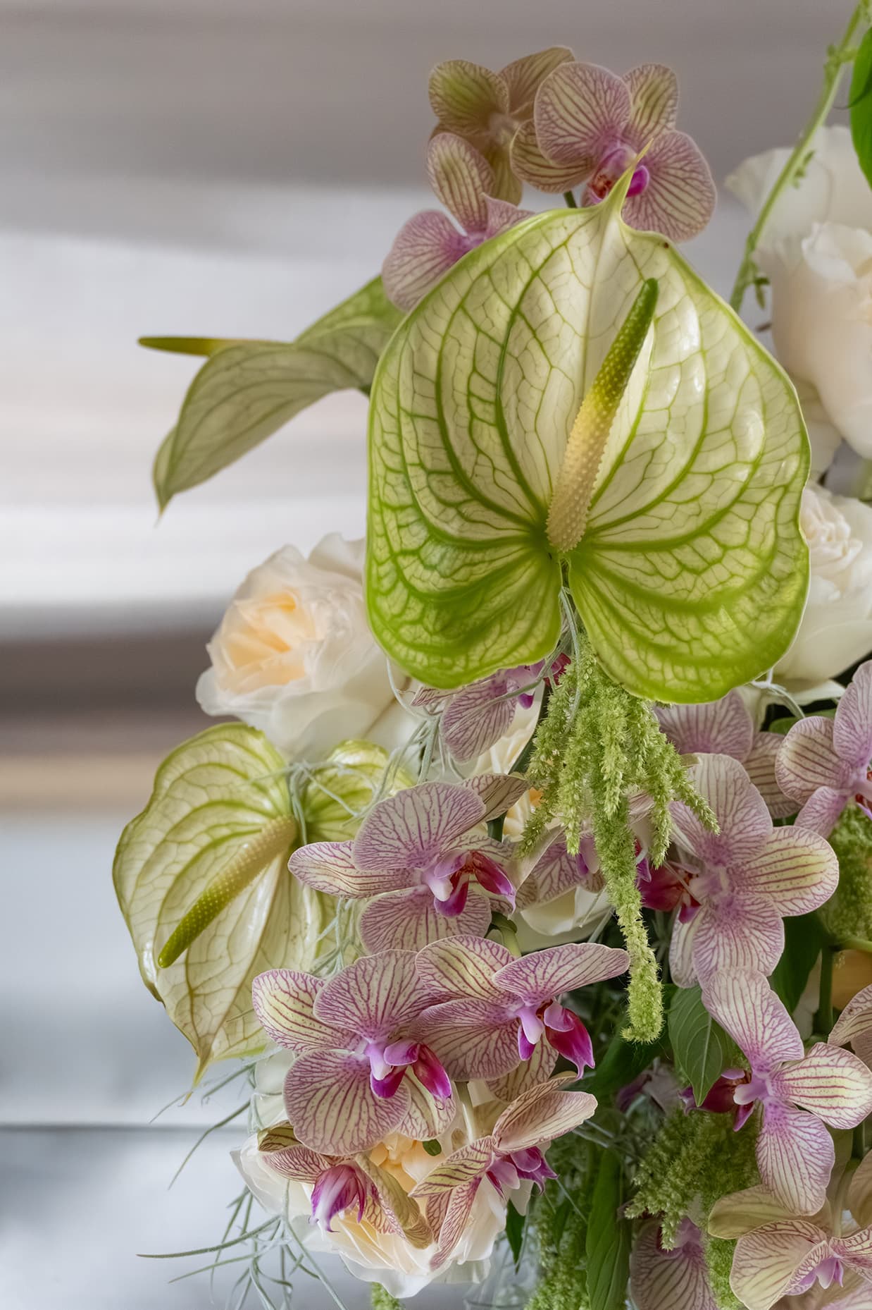 Fresh Reverie arrangement featuring green anthurium and garden roses by Shaa.Project for a romantic Valentine's Day display.