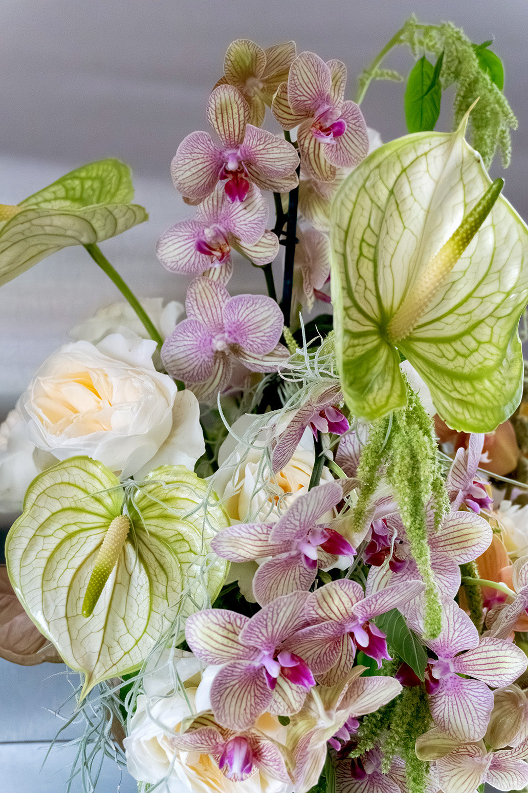 Fresh Reverie bouquet featuring orchids, roses, anthuriums, and amaranth by Shaa.Project in a vibrant arrangement.