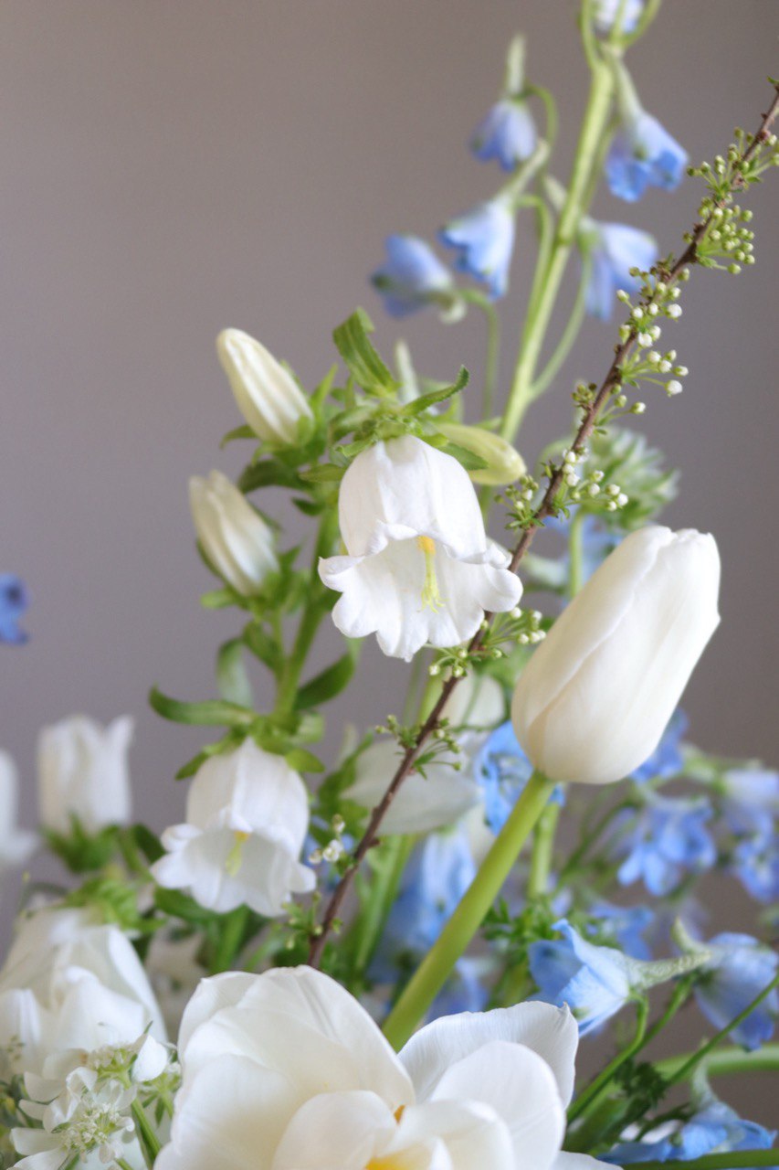 Shaa.Project Gentle Rise product image featuring a soft, textured design in soothing colors.
