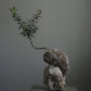 olive tree kokedama moss plant resting on stone, design by Shaa.Project