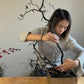 Floral designer creating Red Noir sculptural arrangement with branches and red flowers