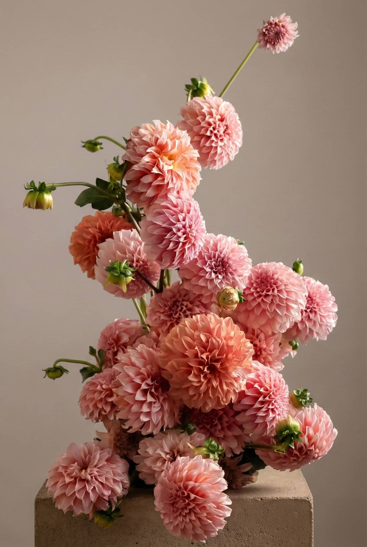 sculptural floral installation by Shaa.Project in Denver gallery