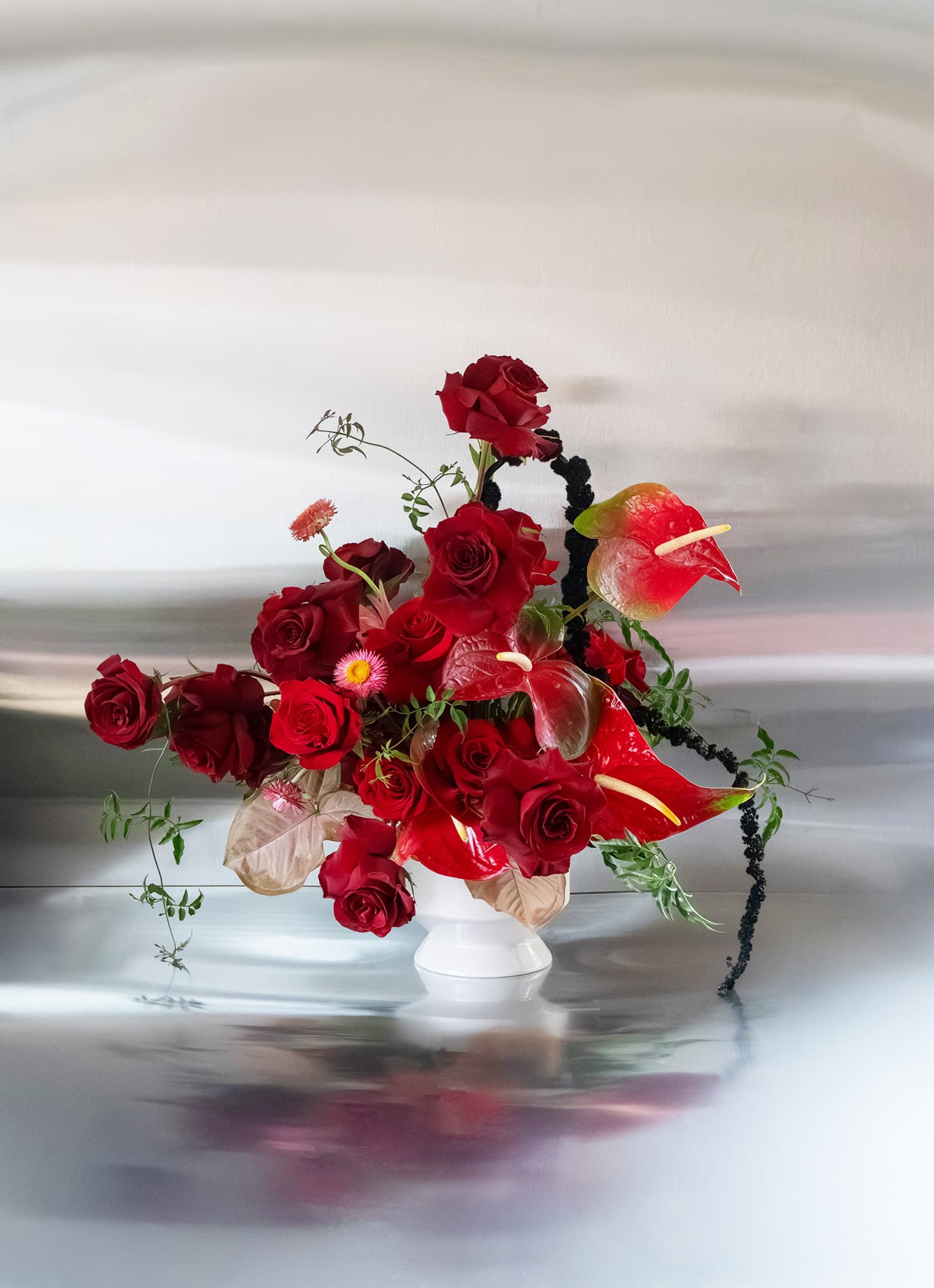 Shaa.Project Velvet Flame arrangement featuring red roses and anthurium in a stylish display.